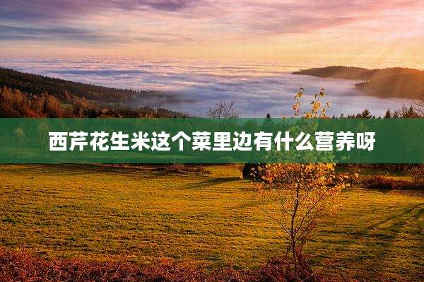 西芹花生米这个菜里边有什么营养呀