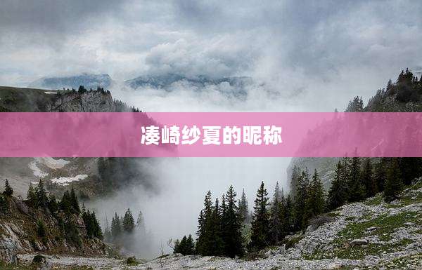 凑崎纱夏的昵称