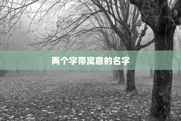 两个字带寓意的名字