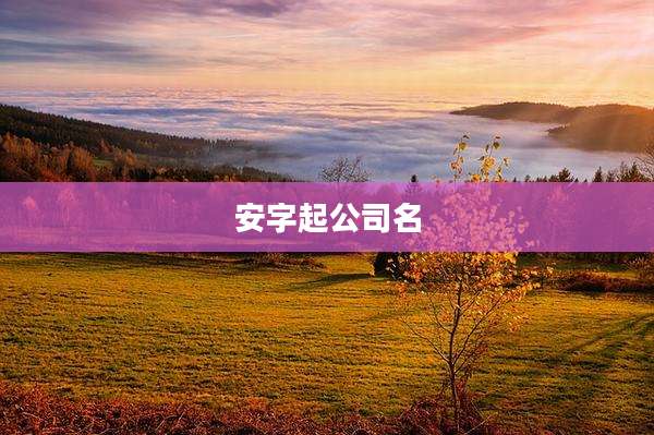 安字起公司名