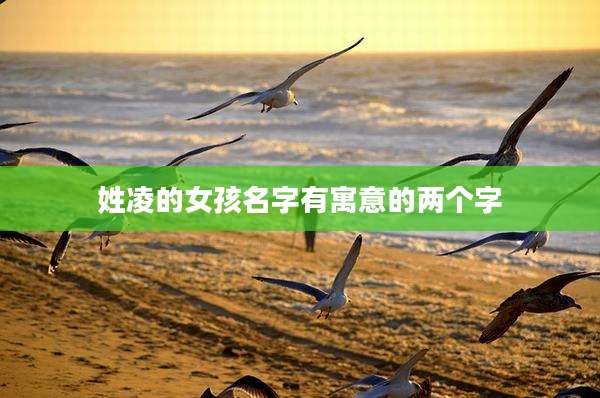 姓凌的女孩名字有寓意的两个字