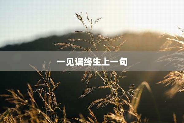 一见误终生上一句