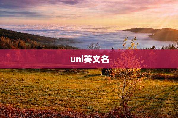 uni英文名