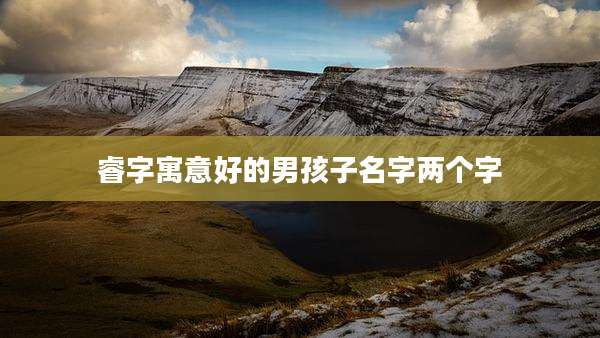 睿字寓意好的男孩子名字两个字