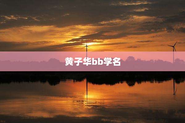 黄子华bb学名