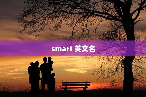 smart 英文名