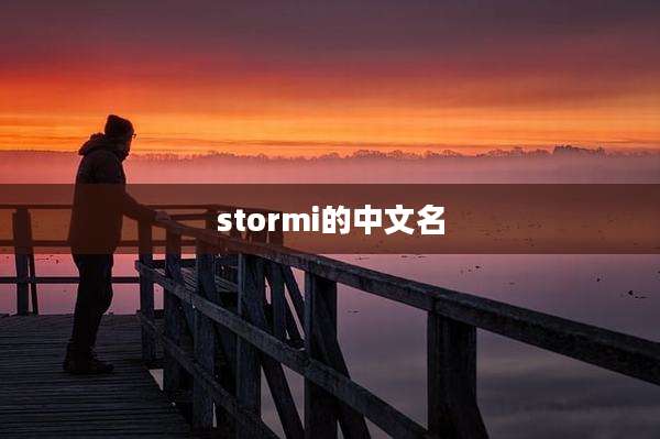 stormi的中文名
