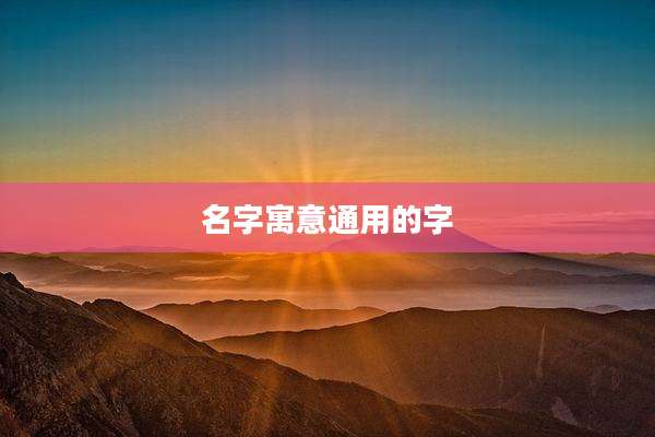 名字寓意通用的字