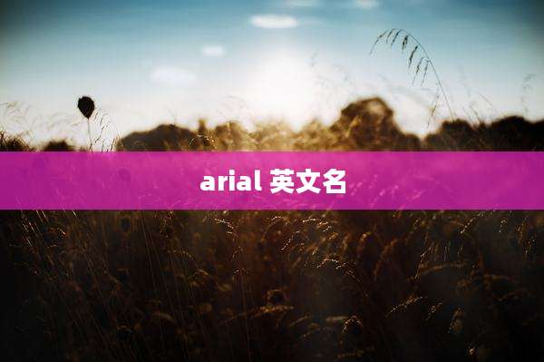 arial 英文名