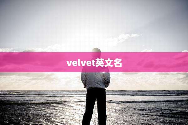 velvet英文名