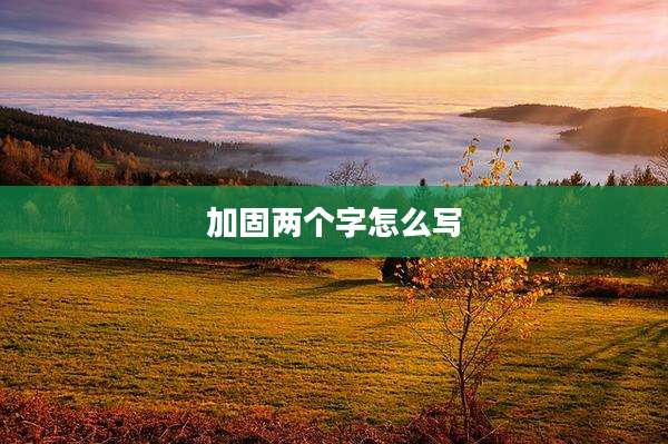 加固两个字怎么写