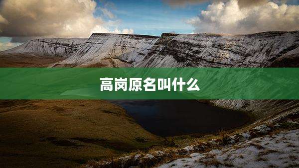 高岗原名叫什么