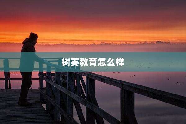 树英教育怎么样