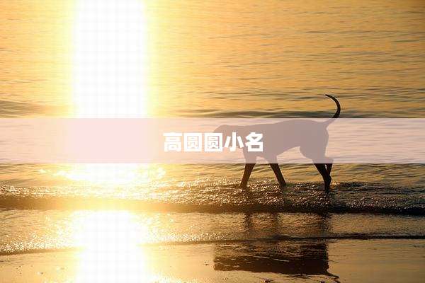 高圆圆小名