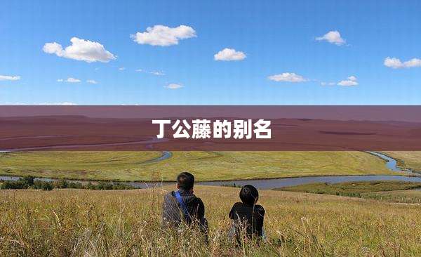 丁公藤的别名