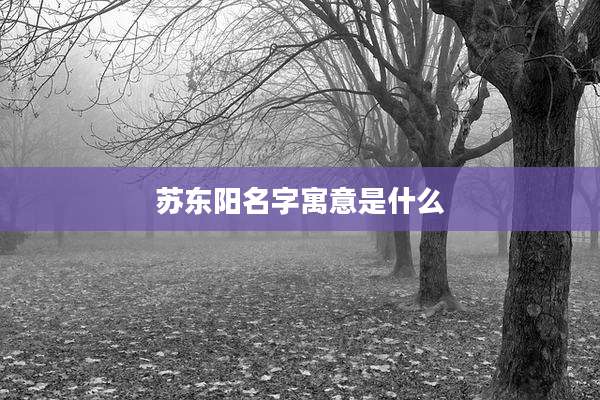 苏东阳名字寓意是什么