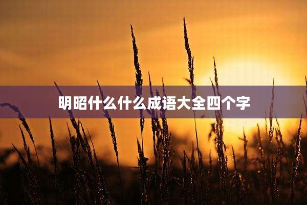 明昭什么什么成语大全四个字