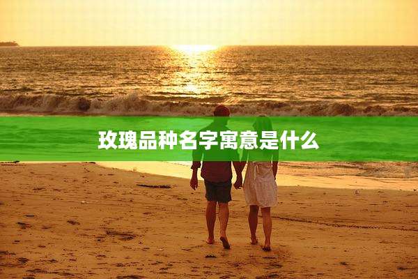 玫瑰品种名字寓意是什么