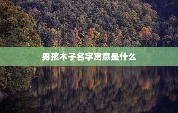 男孩木子名字寓意是什么