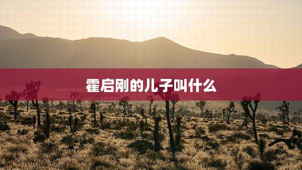 霍启刚的儿子叫什么