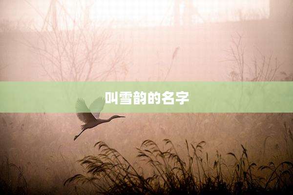 叫雪韵的名字