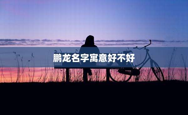 鹏龙名字寓意好不好