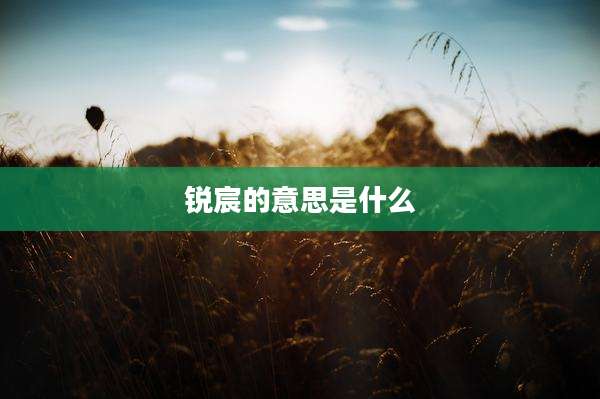 锐宸的意思是什么