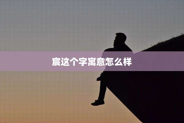 宸这个字寓意怎么样