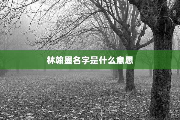 林翰墨名字是什么意思