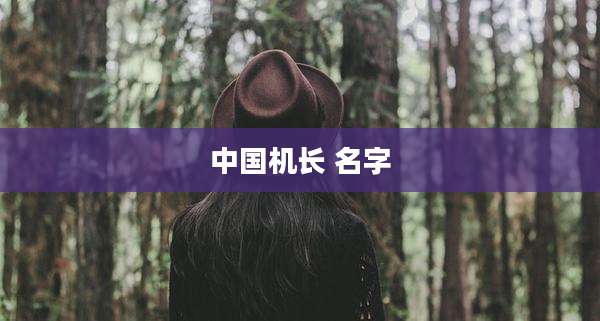 中国机长 名字