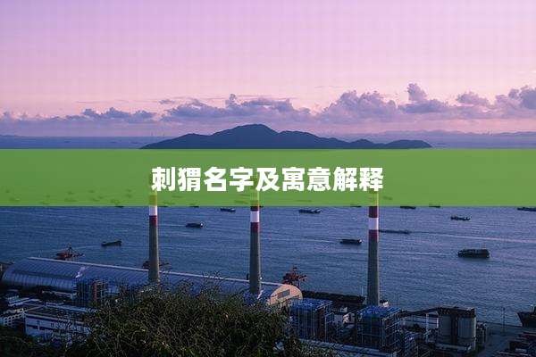 刺猬名字及寓意解释