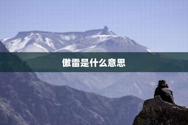 傲雷是什么意思