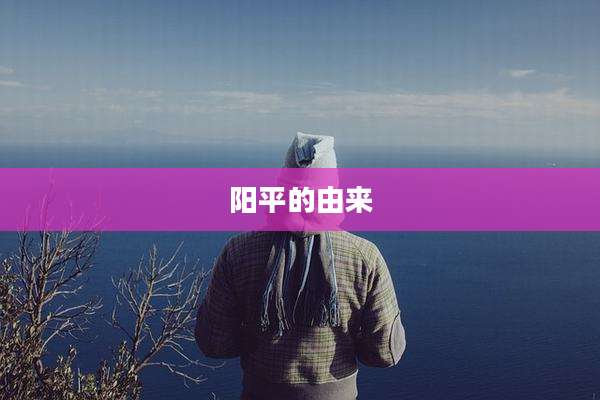 阳平的由来