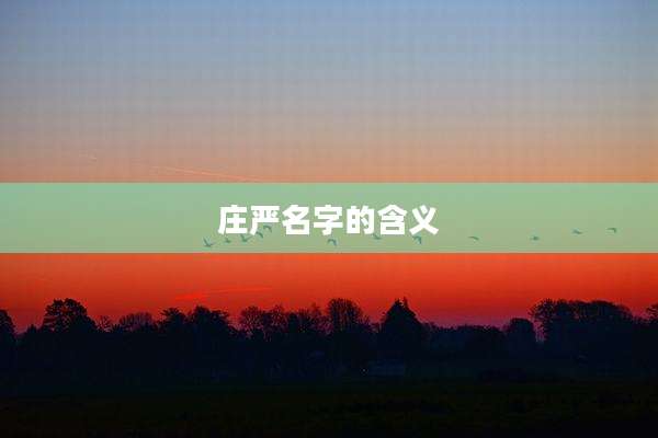 庄严名字的含义