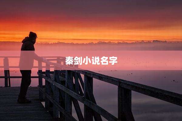 秦剑小说名字