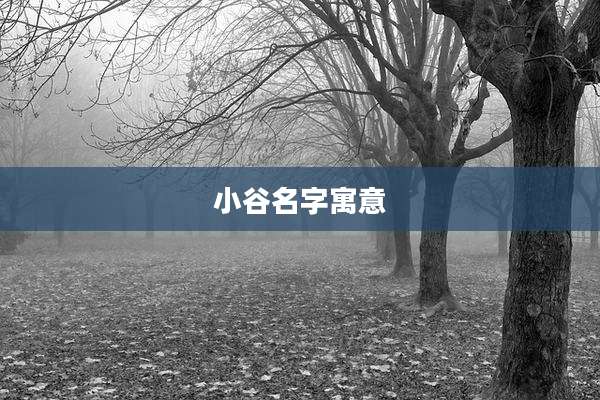 小谷名字寓意