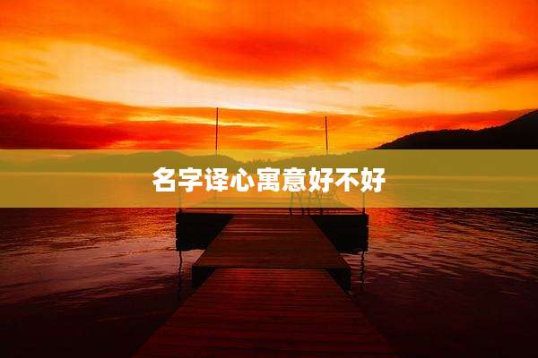 名字译心寓意好不好