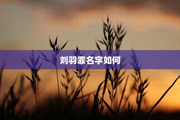 刘羽霏名字如何