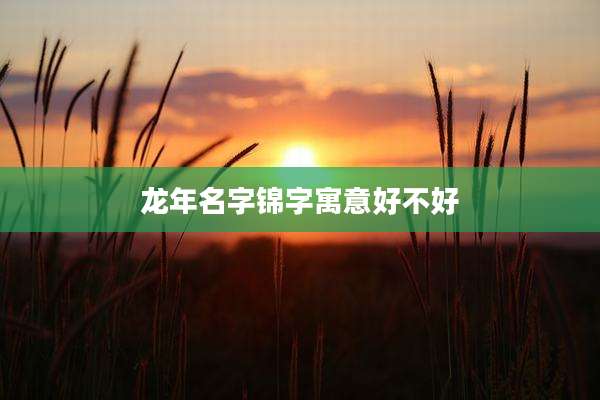 龙年名字锦字寓意好不好