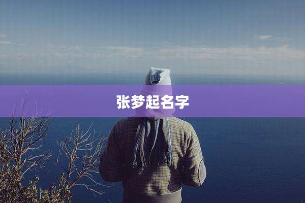 张梦起名字