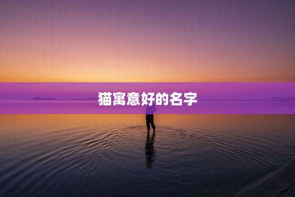 猫寓意好的名字