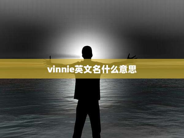 vinnie英文名什么意思