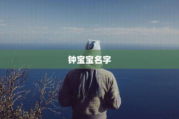 钟宝宝名字