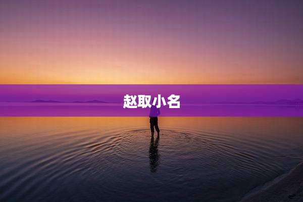 赵取小名