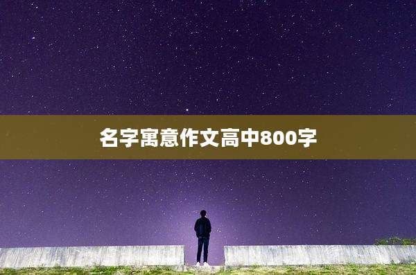 名字寓意作文高中800字