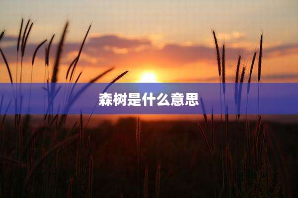 森树是什么意思