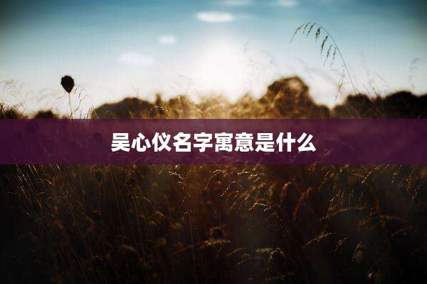 吴心仪名字寓意是什么