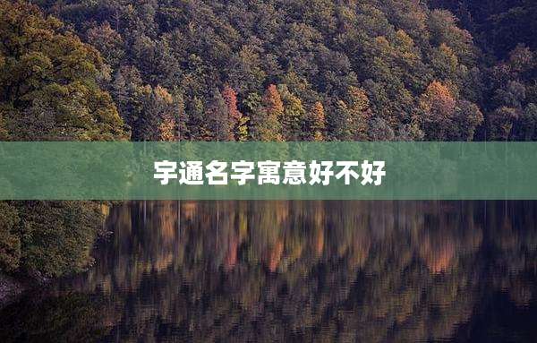 宇通名字寓意好不好