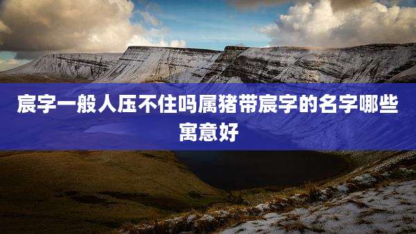 宸字一般人压不住吗属猪带宸字的名字哪些寓意好
