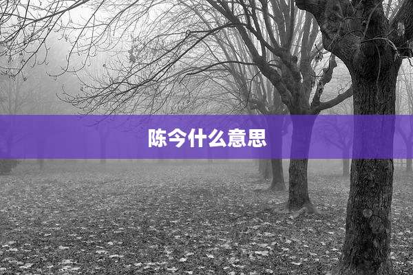 陈今什么意思